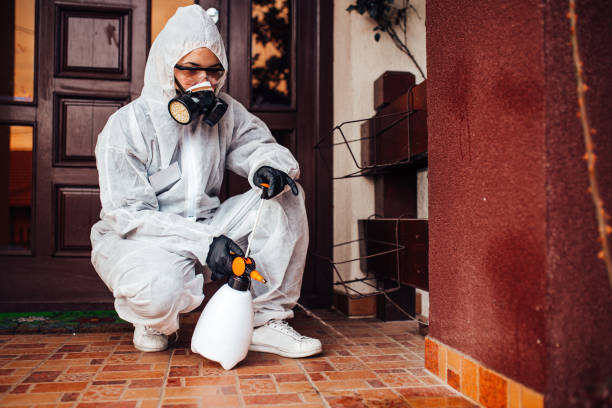 Attic and Crawl Space Rodent Treatment in New London